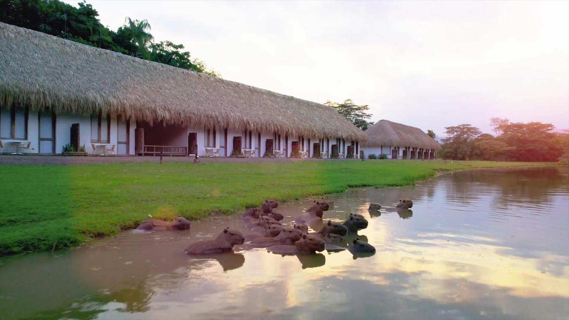 Hotel Reserva De Piedemonte Villavicencio Exterior photo